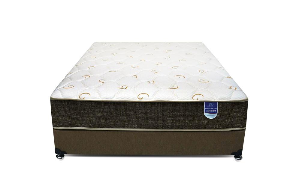 Natural Comfy Latex - Homestead Trading LLC.-Mattress